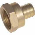 Sharkbite-Cash Acme Brass Threaded Female Adapter - 0.5 x 0.5 in. 228977